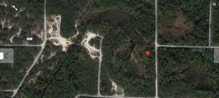 Property for sale at CHIMNEY ROCK DRIVE, WEBSTER, FL, 33597