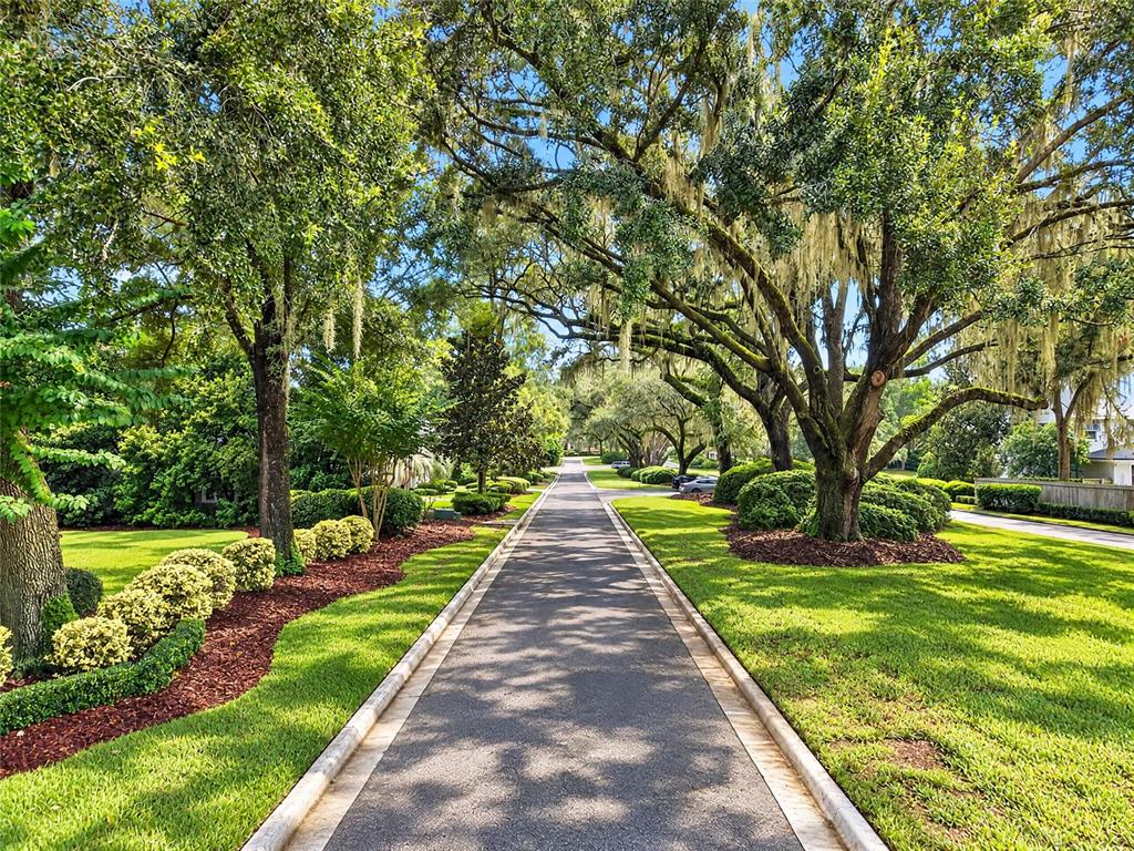 Beautiful street leading to the house