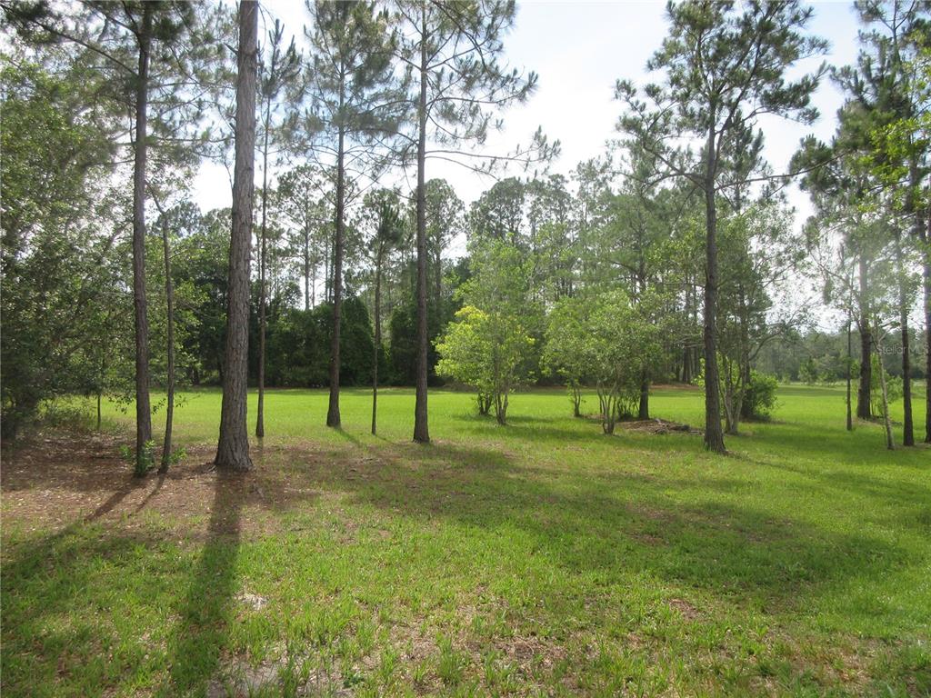 Property for sale at 0 SE 10TH STREET, SILVER SPRINGS, FL, 34488