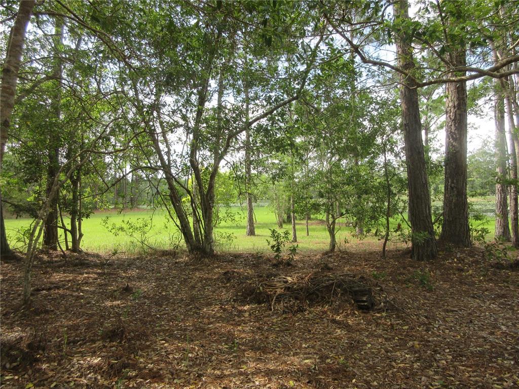 Property for sale at 0 SE 10TH STREET, SILVER SPRINGS, FL, 34488