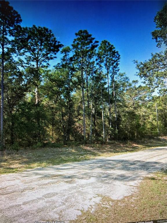 Property for sale at 564 E PANAMA DRIVE, CITRUS SPRINGS, FL, 34434