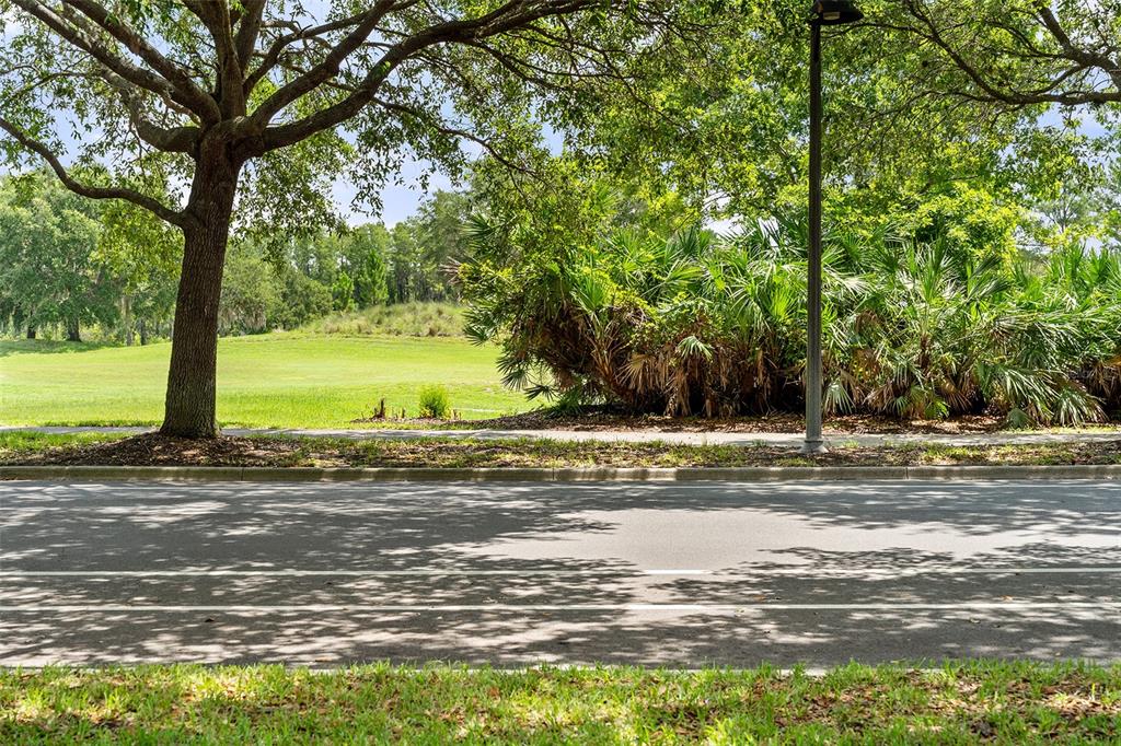 Golf View