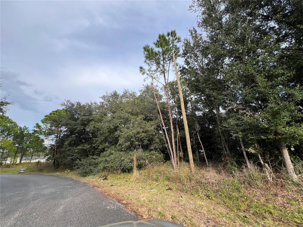 Property for sale at 110 SAIL WAY, KISSIMMEE, FL, 34759
