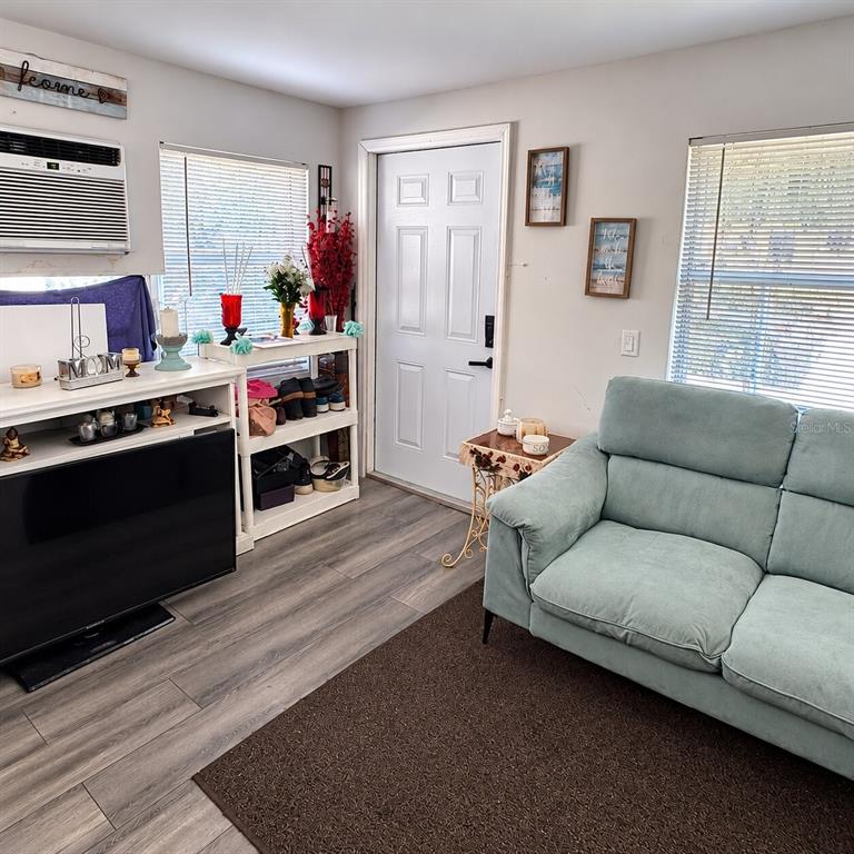 Entrance - Living Room