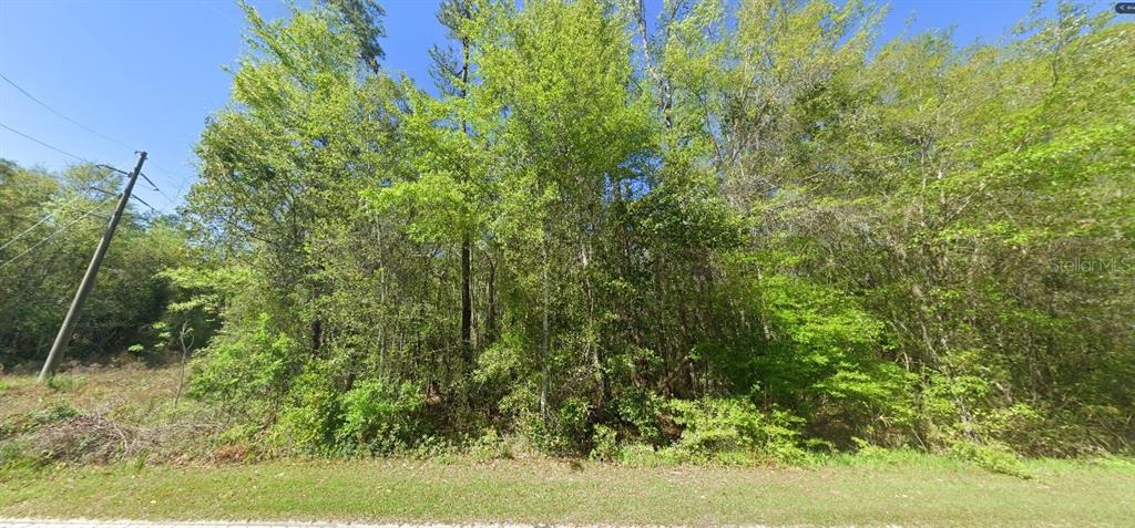 Property for sale at 100 W STATE LINE ROAD, CENTURY, FL, 32535