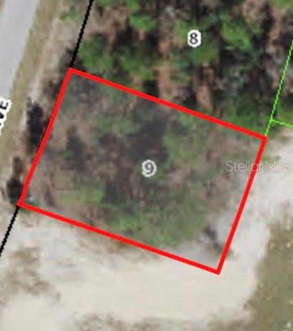 Property for sale at 9805 N EMELLIA AVENUE, CITRUS SPRINGS, FL, 34433