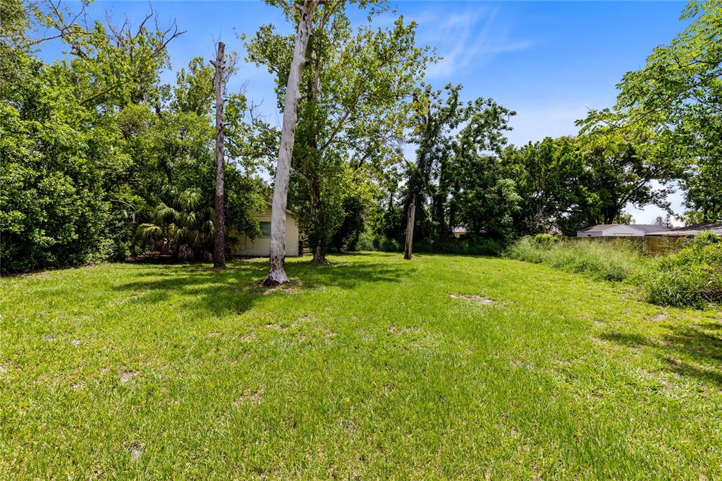 .65 Acres of buildable land
