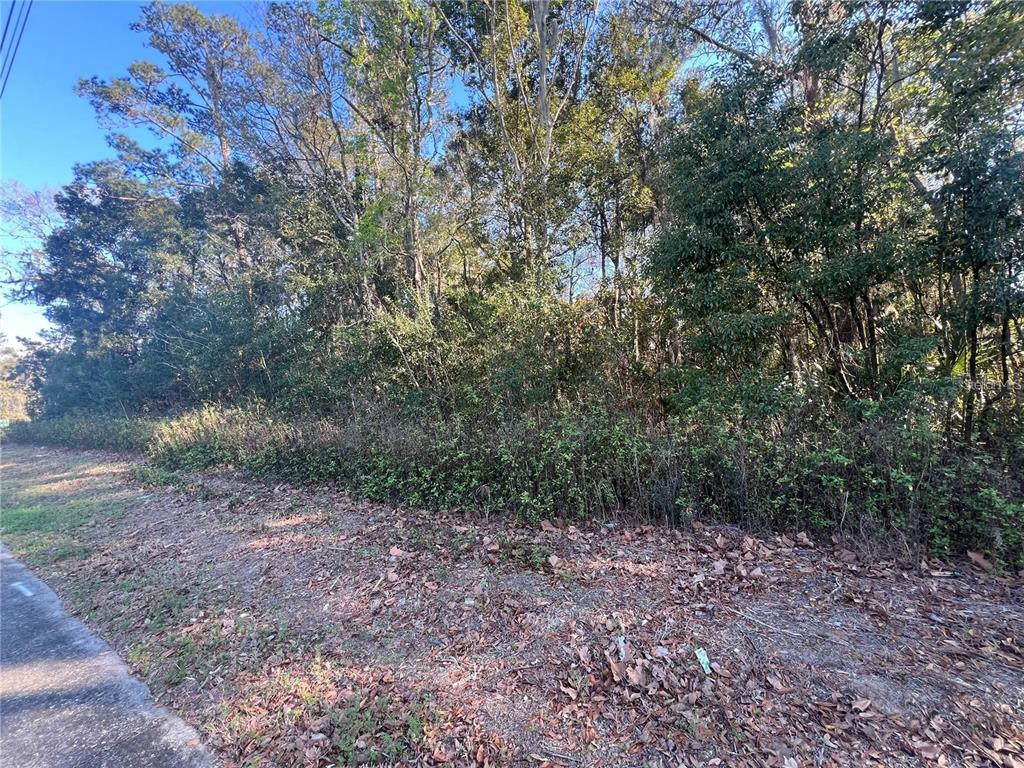 Property for sale at NE 14TH STREET, OCALA, FL, 34470