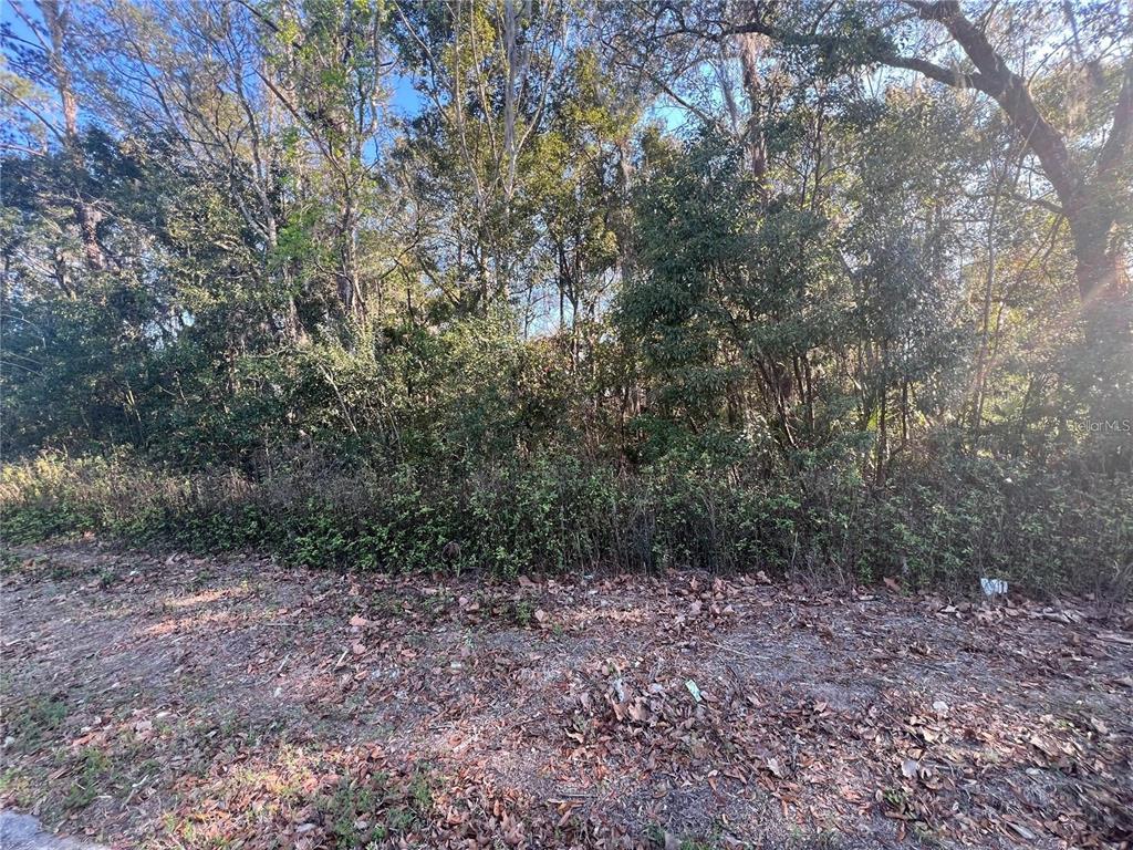 Property for sale at NE 14TH STREET, OCALA, FL, 34470
