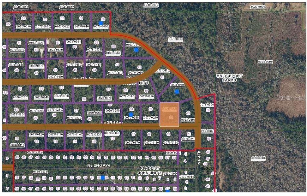 Property for sale at TBD NE 3RD AVE, PALATKA, FL, 32177