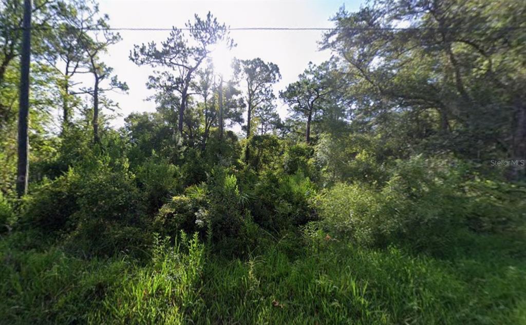 Property for sale at ATLEE STREET, NEW PORT RICHEY, FL, 34654