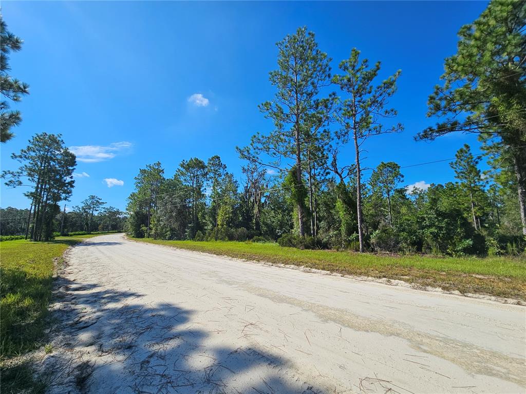 Property for sale at 0000 NE 38TH PLACE, WILLISTON, FL, 32696