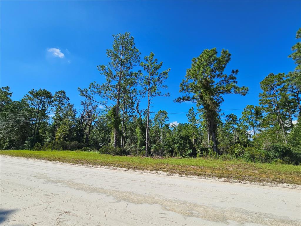 Property for sale at 0000 NE 38TH PLACE, WILLISTON, FL, 32696