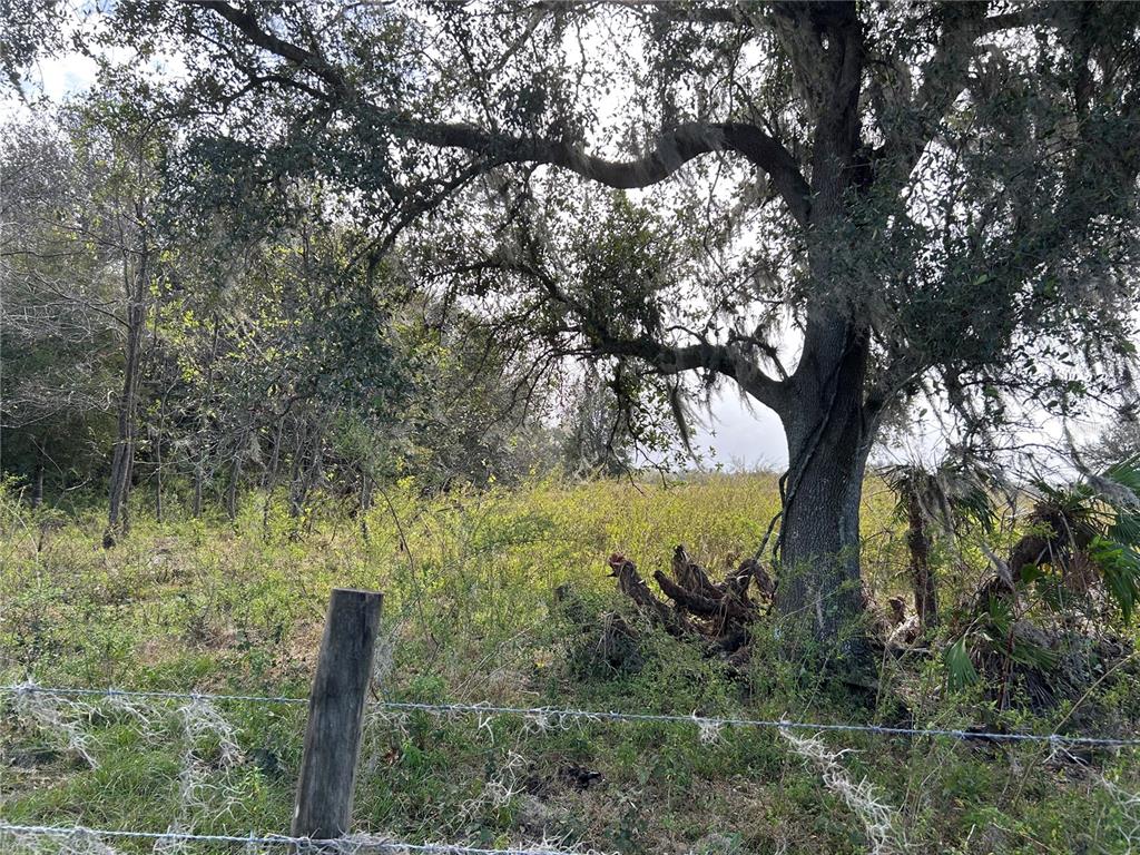 Property for sale at SR-64, ZOLFO SPRINGS, FL, 33890