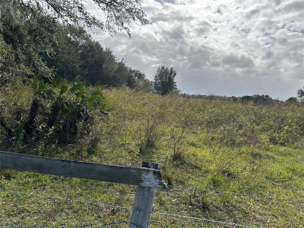 Property for sale at SR-64, ZOLFO SPRINGS, FL, 33890