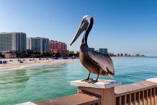 Property for sale at 2947 S ATLANTIC AVENUE UNIT 1706, DAYTONA BEACH, FL, 32118