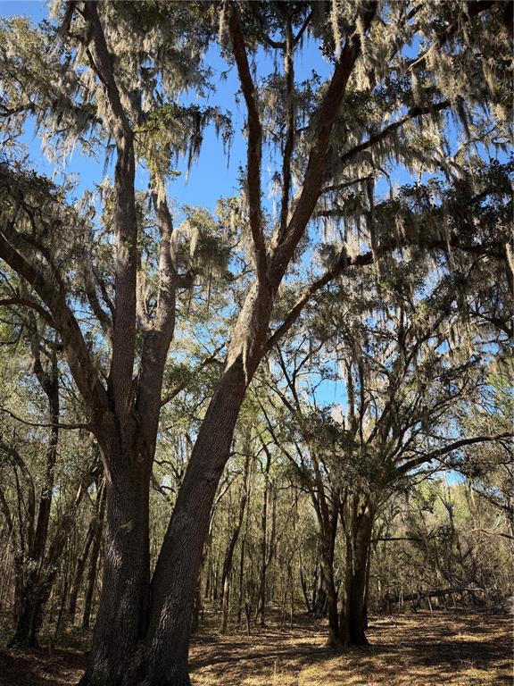 Property for sale at 10550 NW 115TH AVENUE, REDDICK, FL, 32686