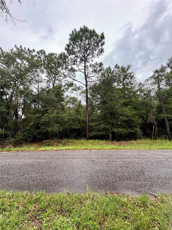 Lot Frontage 154 Ft