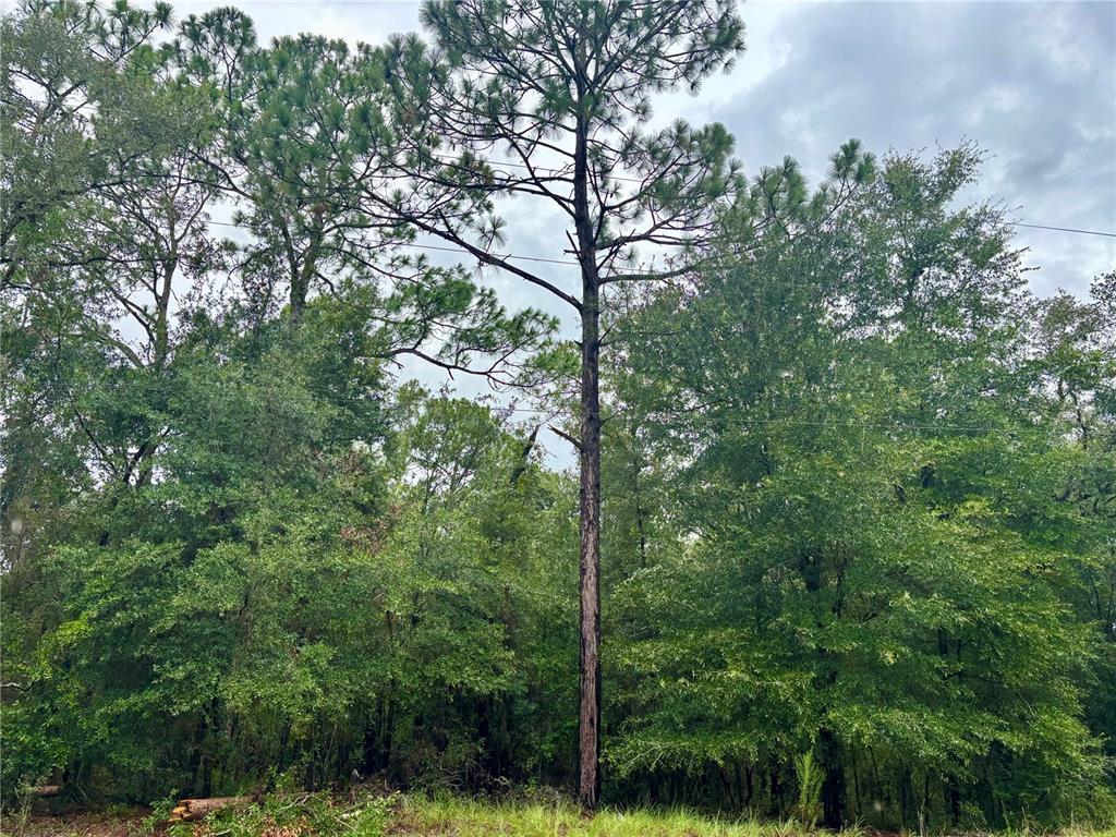 Property for sale at Lot 28 SW 206 CIRCLE, DUNNELLON, FL, 34431