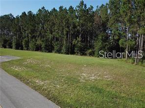Property for sale at LAKE SMITH ROAD, UMATILLA, FL, 32784
