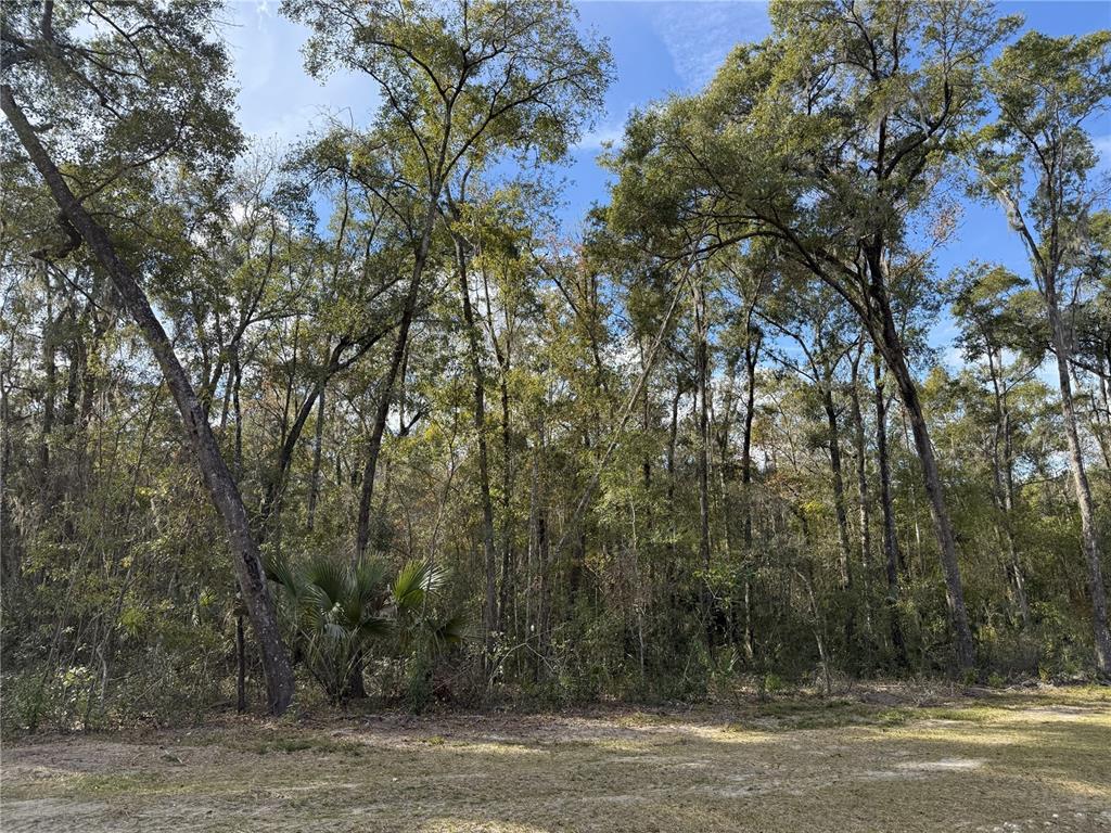 Property for sale at Irvine Acres #3 (10ac) W HWY 318, REDDICK, FL, 32686