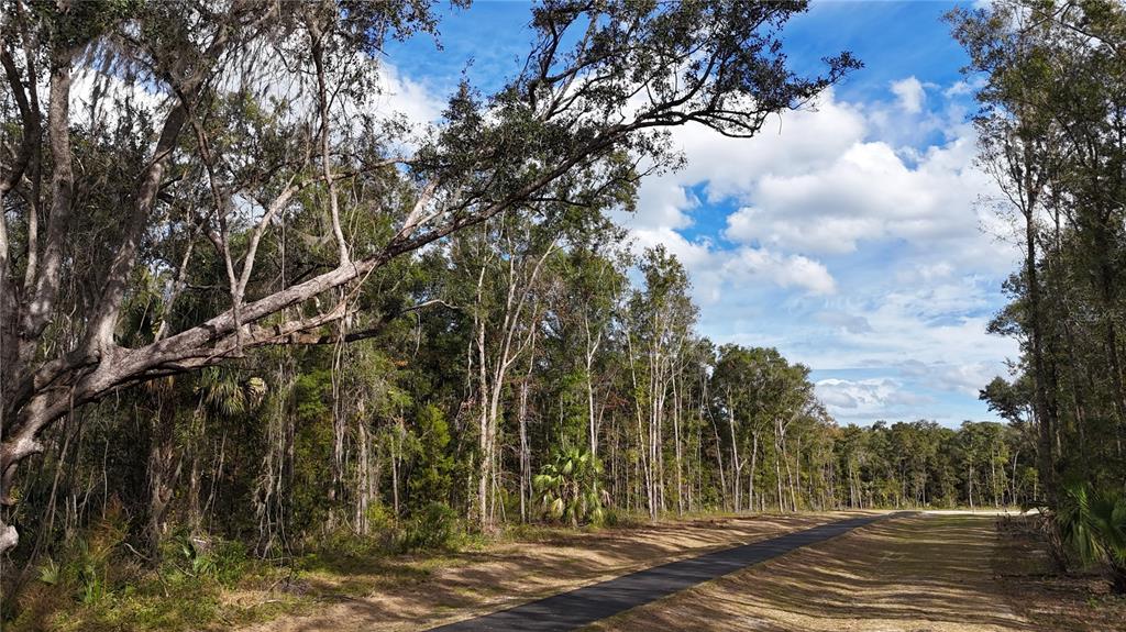 Property for sale at Irvine Acres #3 (10ac) W HWY 318, REDDICK, FL, 32686