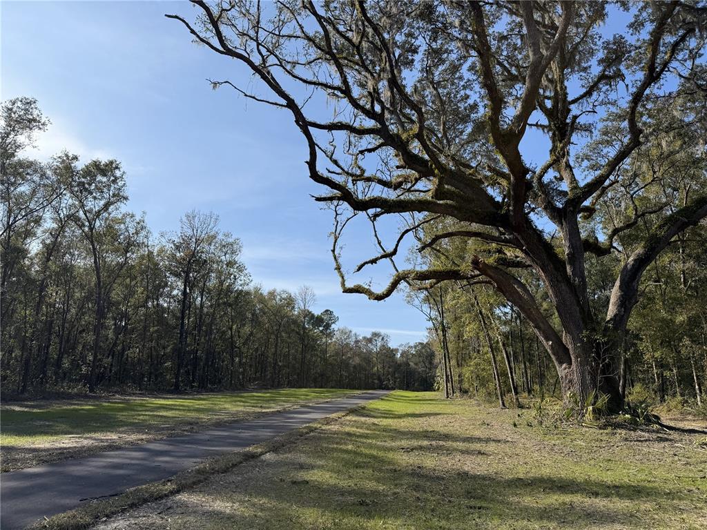 Property for sale at Irvine Acres #3 (10ac) W HWY 318, REDDICK, FL, 32686