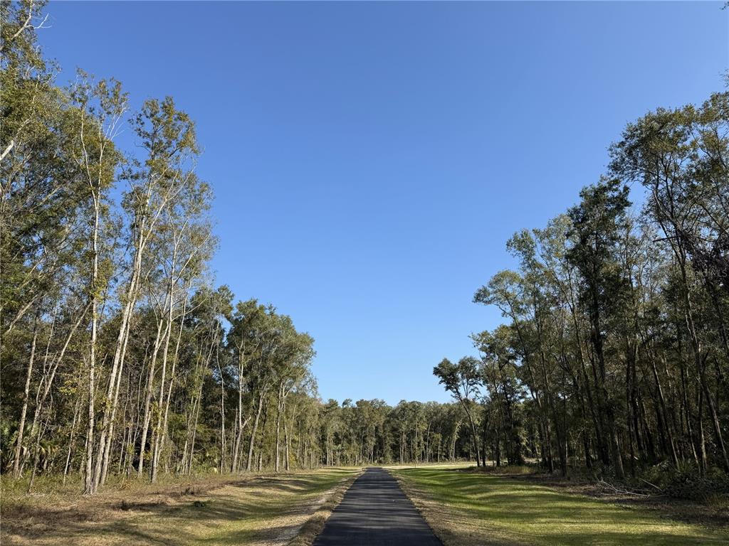 Property for sale at Irvine Acres #3 (10ac) W HWY 318, REDDICK, FL, 32686