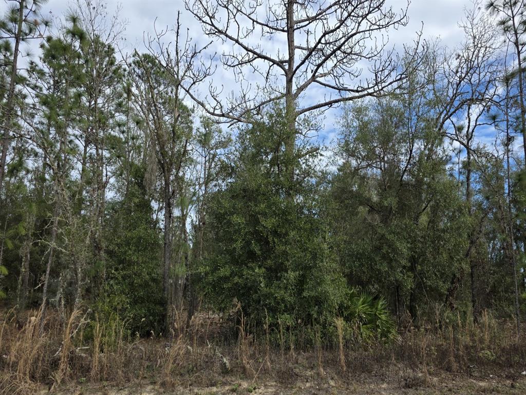 Property for sale at SW 141ST COURT, OCALA, FL, 34481