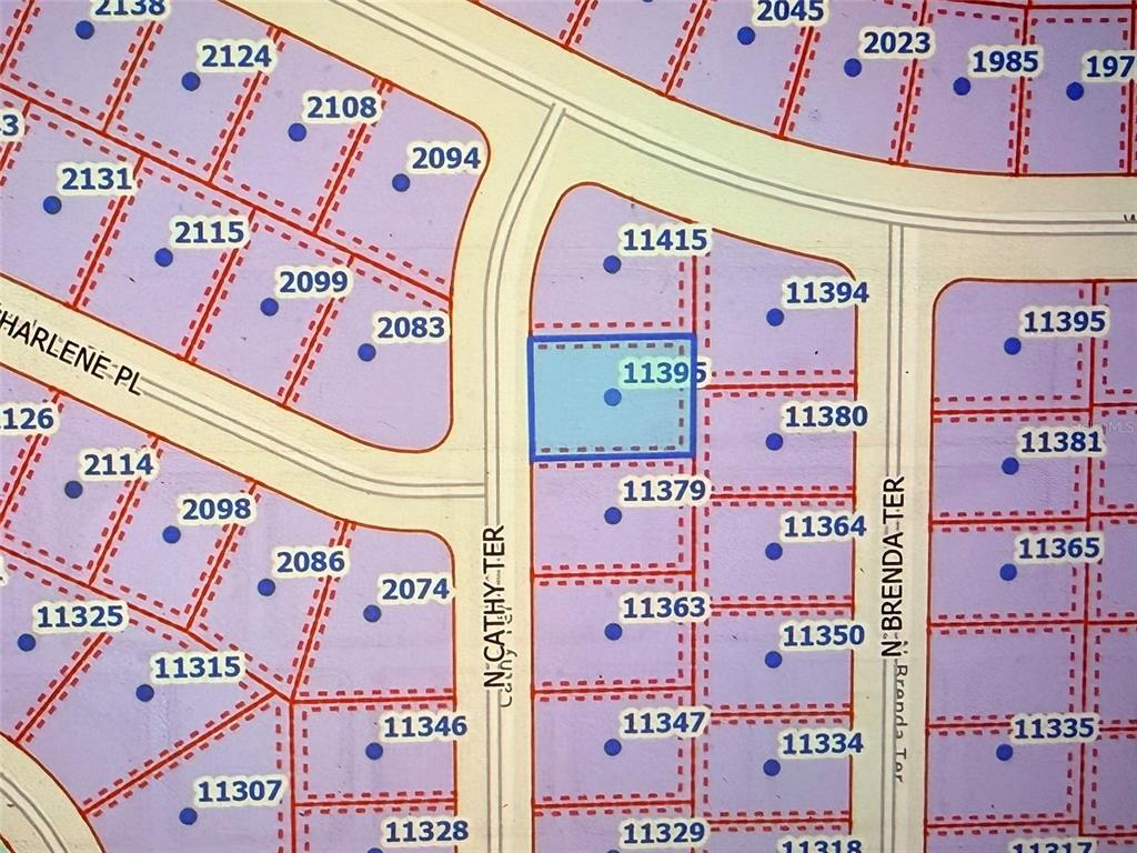 Property for sale at 11395 N CATHY TERRACE, CITRUS SPRINGS, FL, 34434