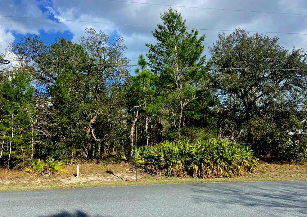 Beautifully treed homesite!!