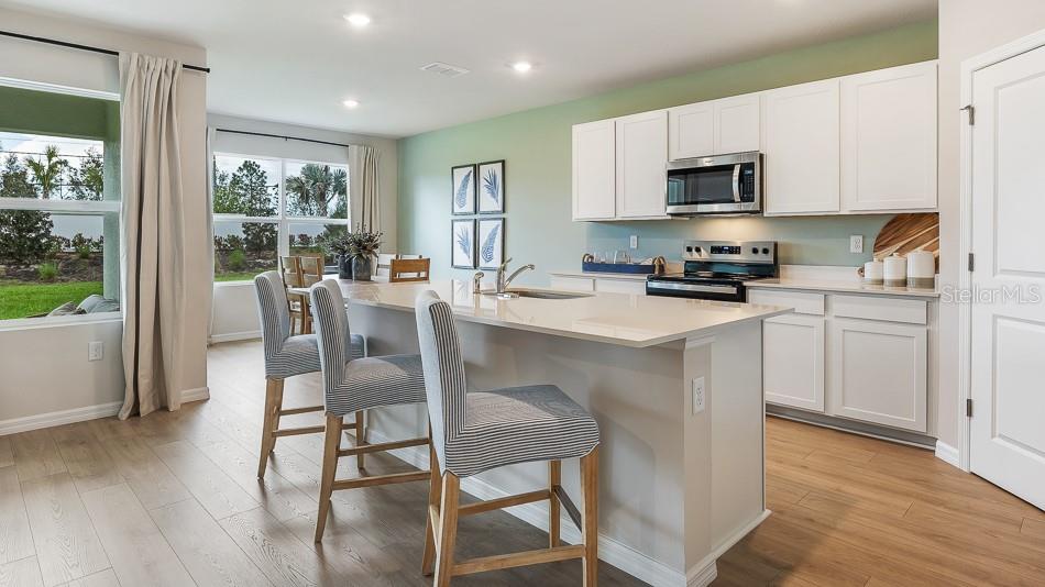 Property for sale at 17615 WHISKEY CREEK TRAIL, PARRISH, FL, 34219