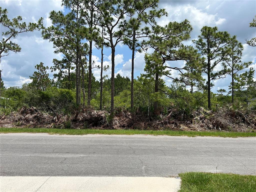 Property for sale at OSBORNE STREET, ORLANDO, FL, 32833