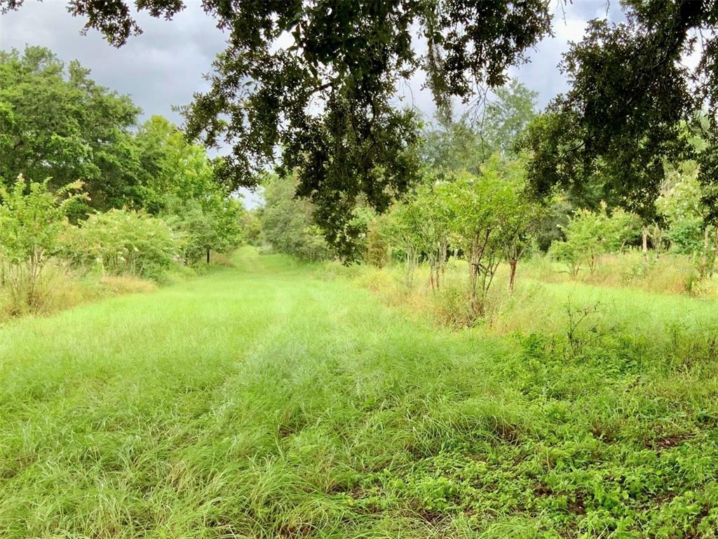 Property for sale at 5079 ONDICH ROAD, APOPKA, FL, 32712