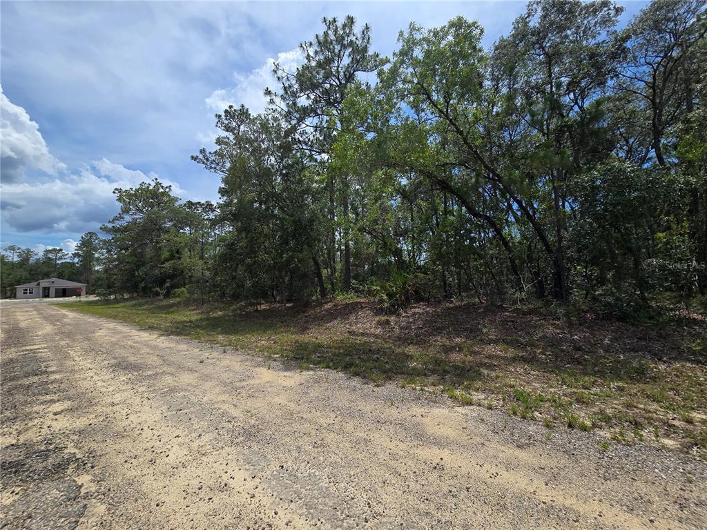 Property for sale at 6468 N BAYLOR TERRACE, DUNNELLON, FL, 34433