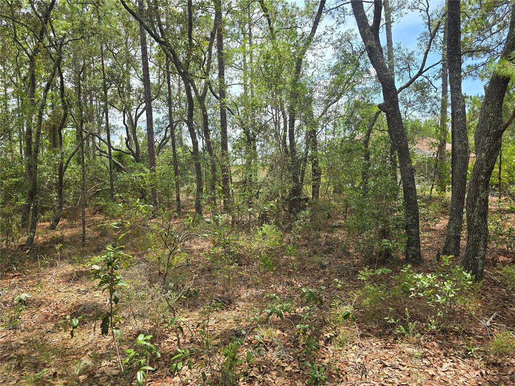Property for sale at 6468 N BAYLOR TERRACE, DUNNELLON, FL, 34433