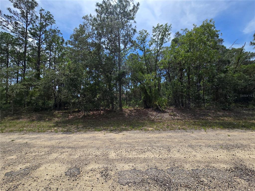 Property for sale at 6468 N BAYLOR TERRACE, DUNNELLON, FL, 34433