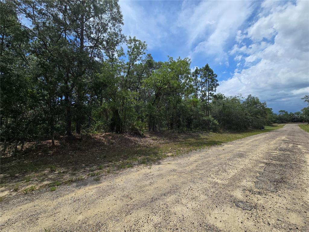 Property for sale at 6468 N BAYLOR TERRACE, DUNNELLON, FL, 34433