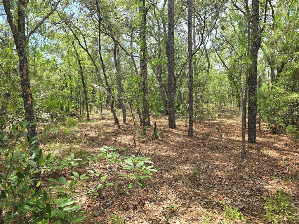 Property for sale at 6468 N BAYLOR TERRACE, DUNNELLON, FL, 34433