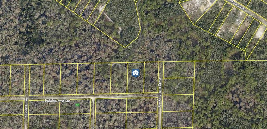 Property for sale at ROSE BLOOM AVENUE, WEBSTER, FL, 33597