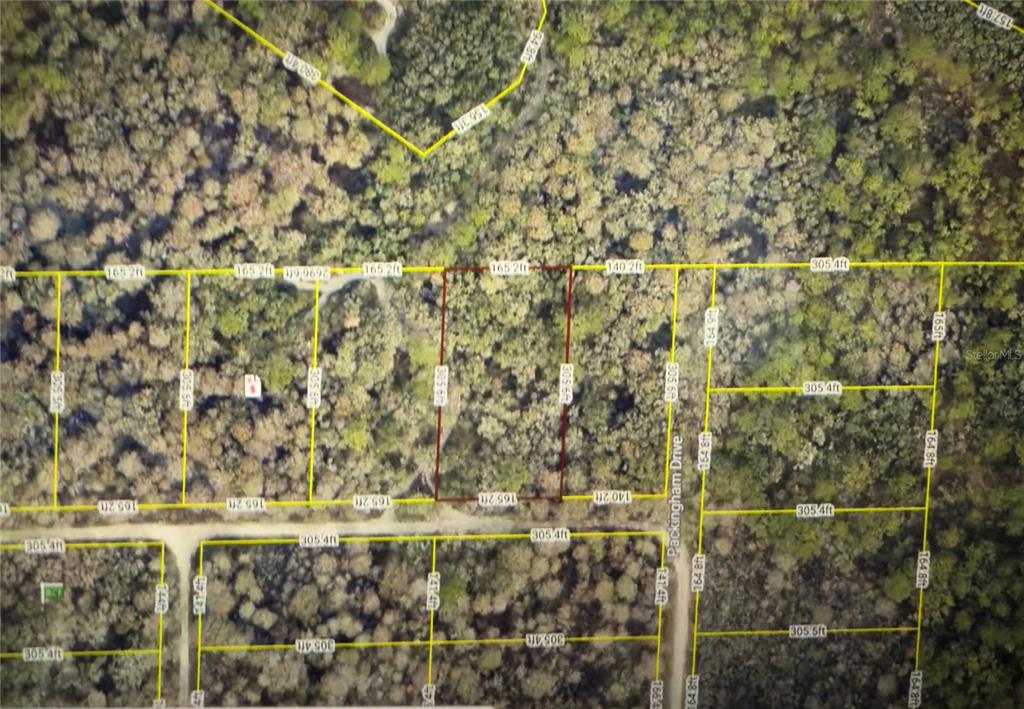 Property for sale at ROSE BLOOM AVENUE, WEBSTER, FL, 33597