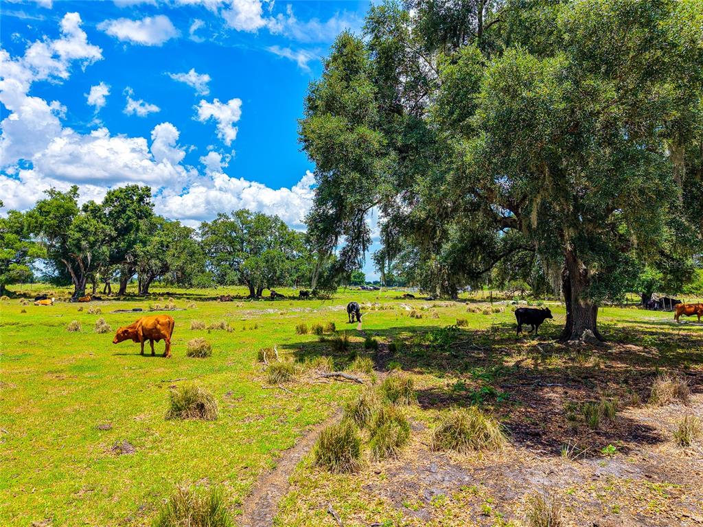 Property for sale at 3030 N NURSERY ROAD, ZOLFO SPRINGS, FL, 33890