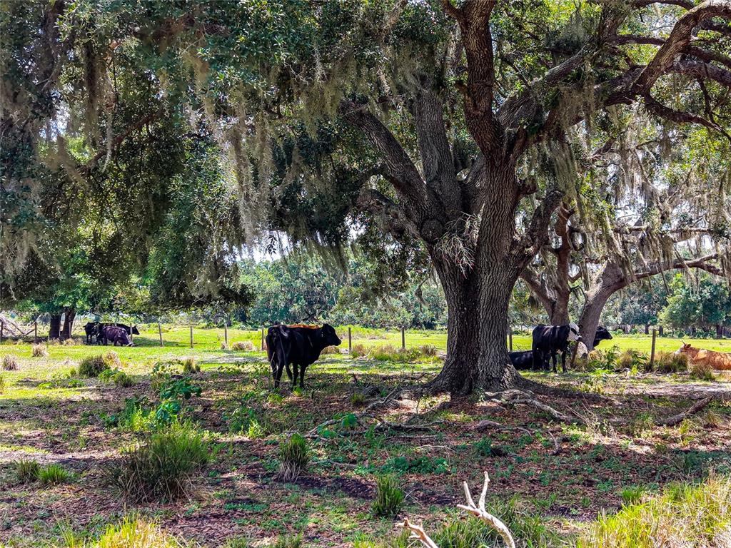 Property for sale at 3030 N NURSERY ROAD, ZOLFO SPRINGS, FL, 33890