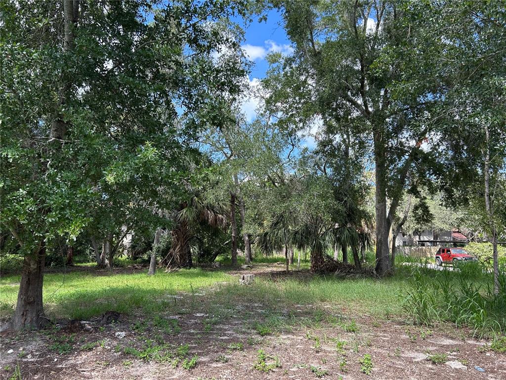 Property for sale at VENTNOR AVENUE, TARPON SPRINGS, FL, 34689