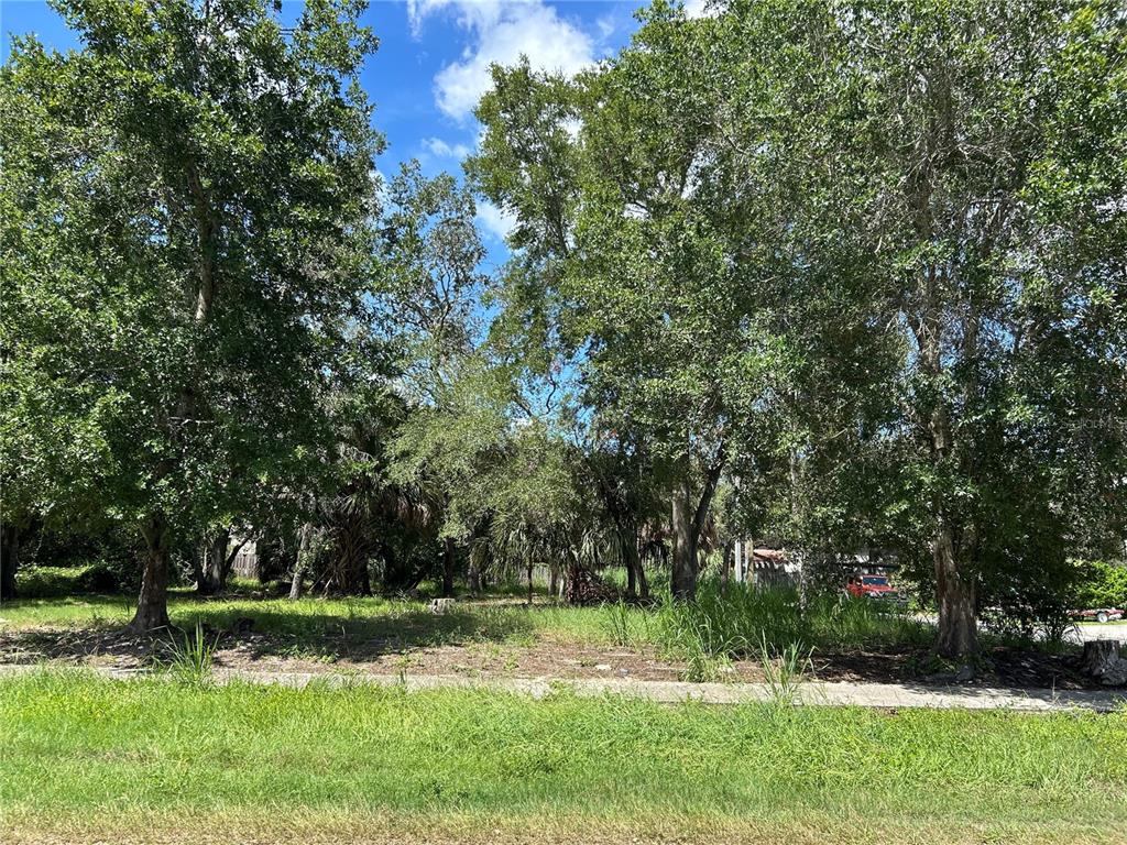 Property for sale at VENTNOR AVENUE, TARPON SPRINGS, FL, 34689