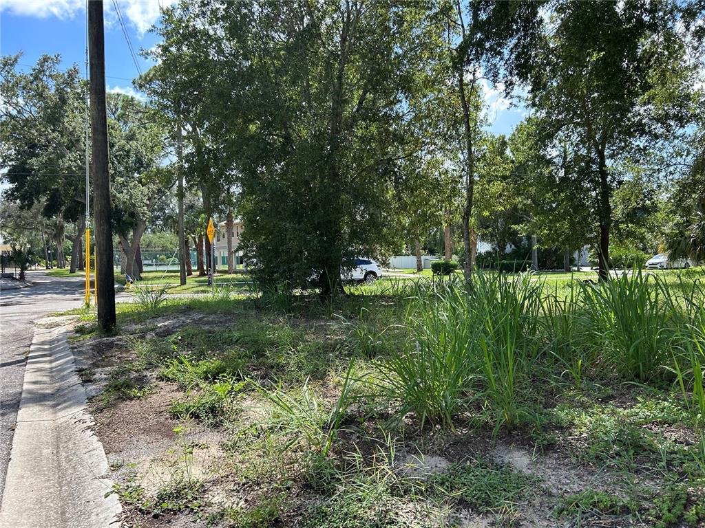 Property for sale at VENTNOR AVENUE, TARPON SPRINGS, FL, 34689