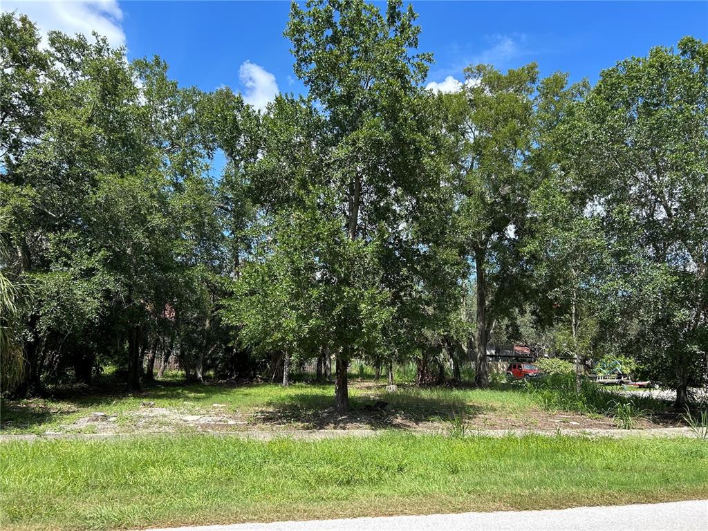 Property for sale at VENTNOR AVENUE, TARPON SPRINGS, FL, 34689