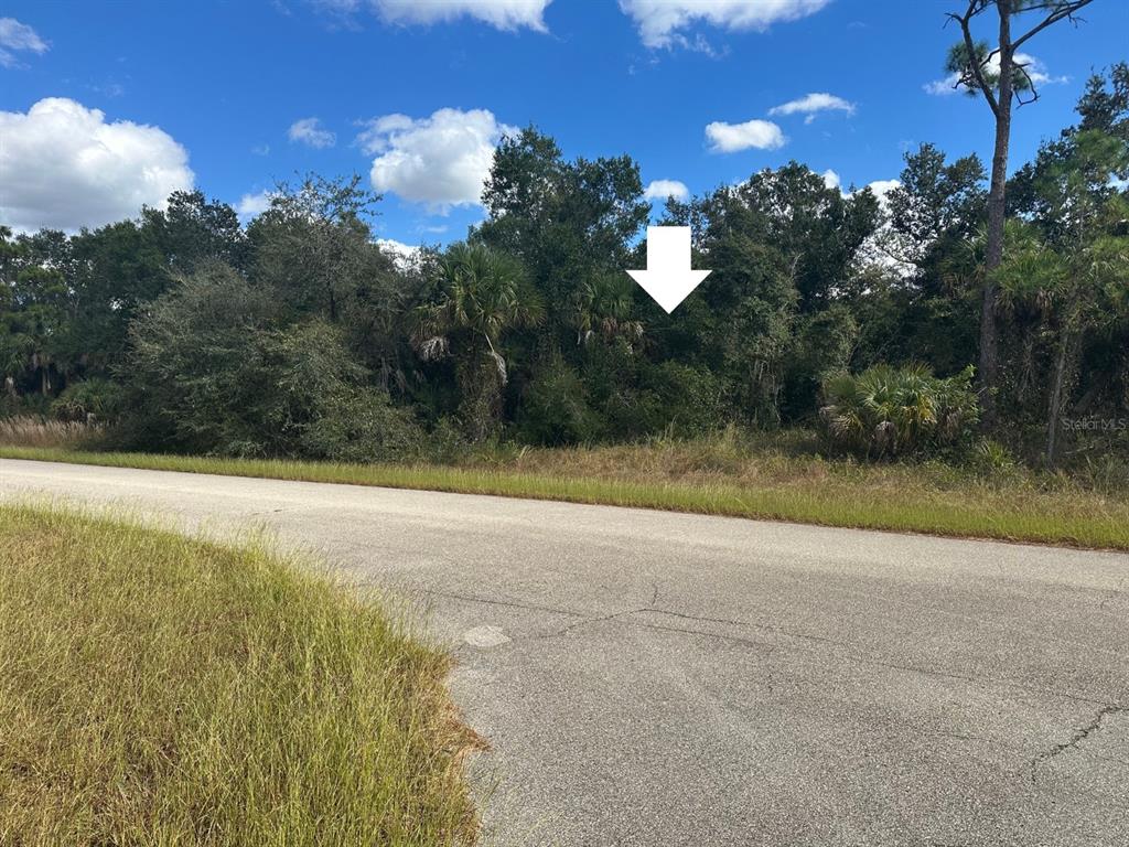 Streetview