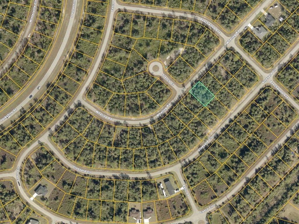 Area Overview
