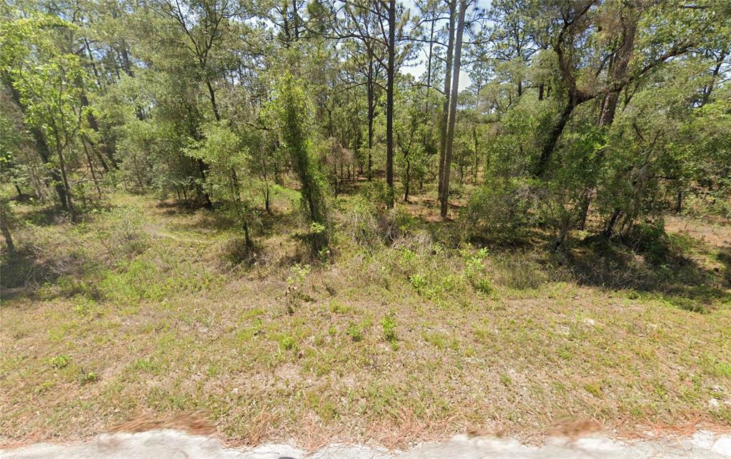 Property for sale at 156 NW REDWING ROAD, DUNNELLON, FL, 34431